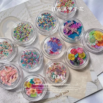 3D декорация за нокти под формата на сухи цветя, естествени цветни висулки за нокти, бижута, 1 кутия, за да проверите за професионален маникюр, аксесоари