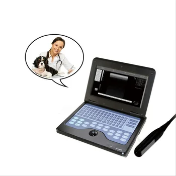 Производители на едро преносим ултразвуков диагностичен инструмент тип лаптоп, ултразвуково оборудване тип B за домашни любимци